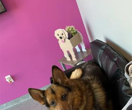 PetVet365 Pet Hospital Cincinnati / Colerain