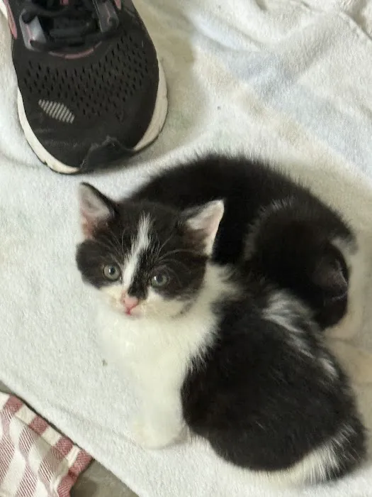 PetVet365 Pet Hospital Cincinnati / Colerain Picture 2