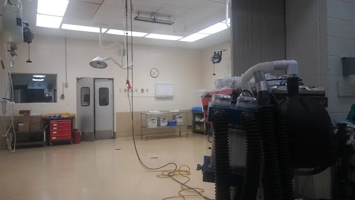 Hagyard Equine Medical Institute Picture 5