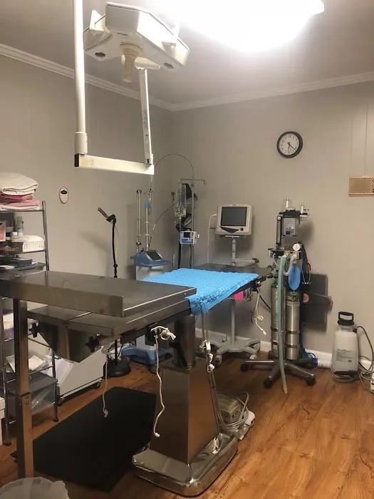 Noah's Ark Animal Hospital Picture 2