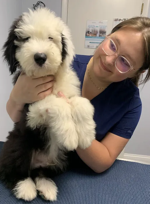 Noah's Ark Animal Hospital Picture 8