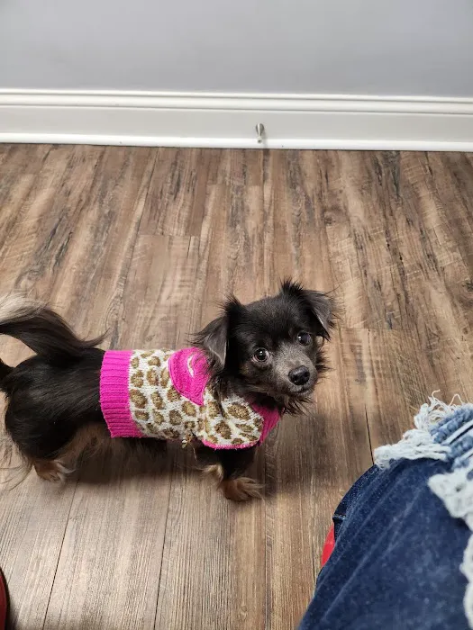 Noah's Ark Animal Hospital Picture 7