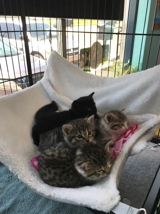 Eastland Animal Clinic Picture 8