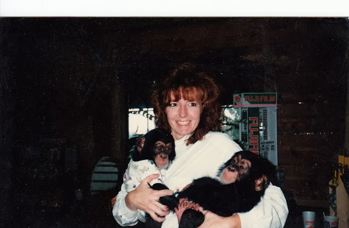 All Creatures Great & Small Animal Hospital Picture 10
