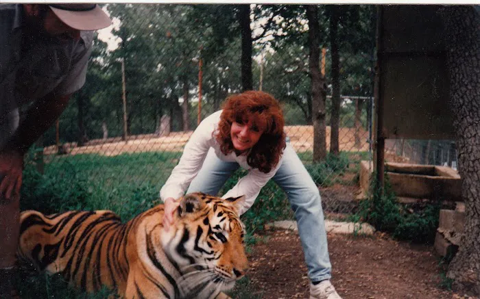 All Creatures Great & Small Animal Hospital Picture 9