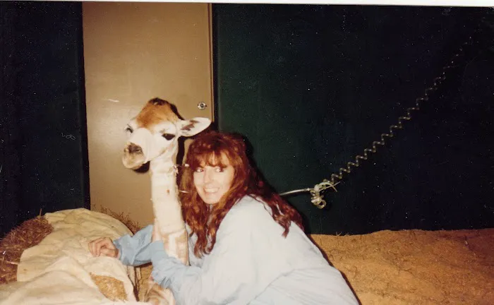 All Creatures Great & Small Animal Hospital Picture 2