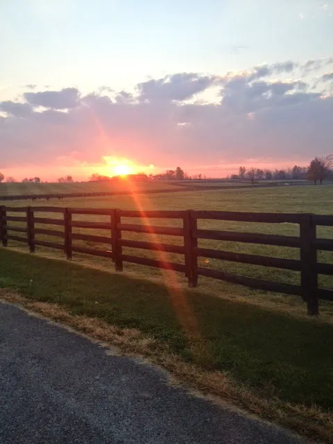 Equine Medical Associates, PSC Picture 1
