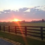 Equine Medical Associates, PSC