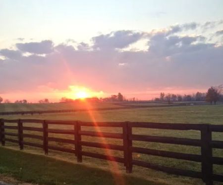 Equine Medical Associates, PSC