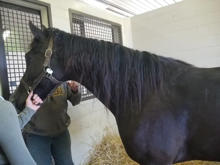 Rood & Riddle Equine Hospital Picture 10