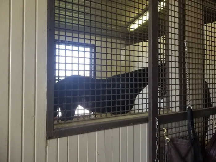 Rood & Riddle Equine Hospital Picture 6