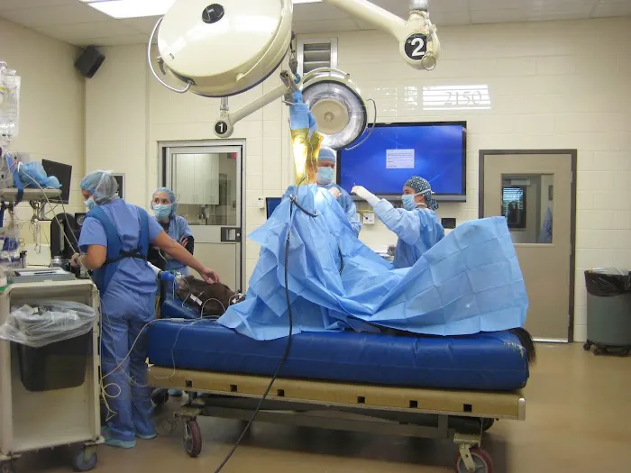 Rood & Riddle Equine Hospital Picture 7