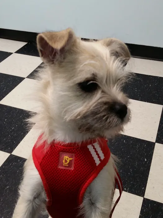 Masterson Animal Clinic Picture 6