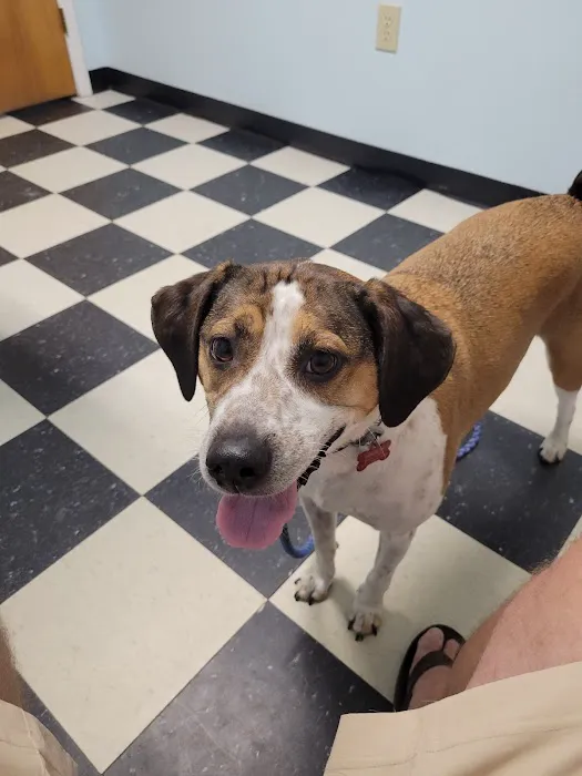 Masterson Animal Clinic Picture 2