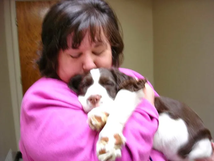 Masterson Animal Clinic Picture 1
