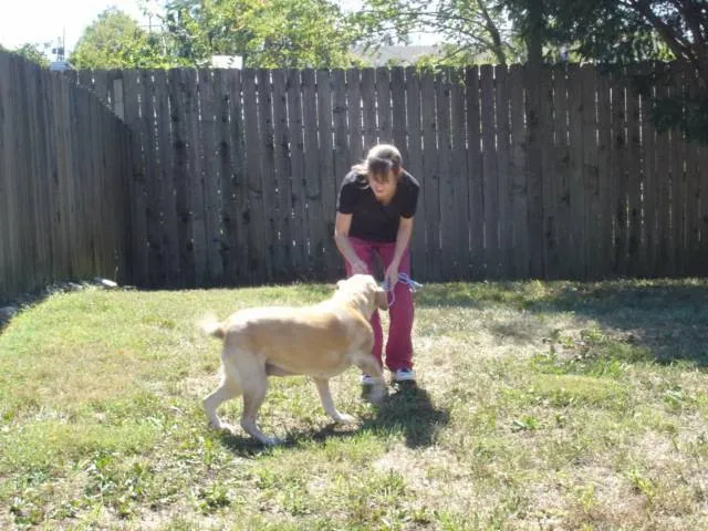 Masterson Animal Clinic Picture 4
