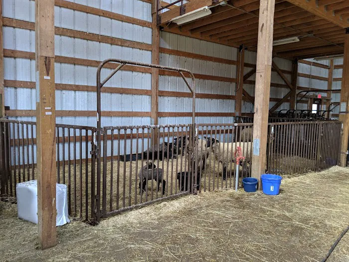 Locust Trace Veterinary Clinic Lexington KY Picture 1