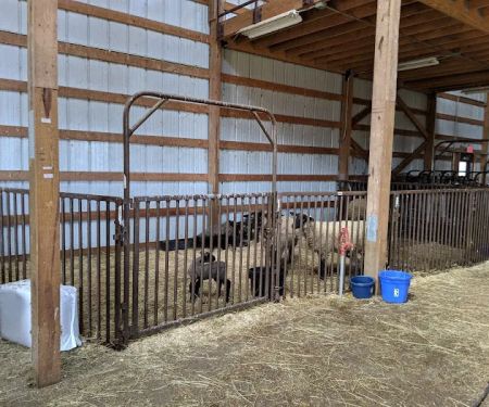 Locust Trace Veterinary Clinic Lexington KY