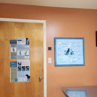 Oak Hills Animal Hospital ico