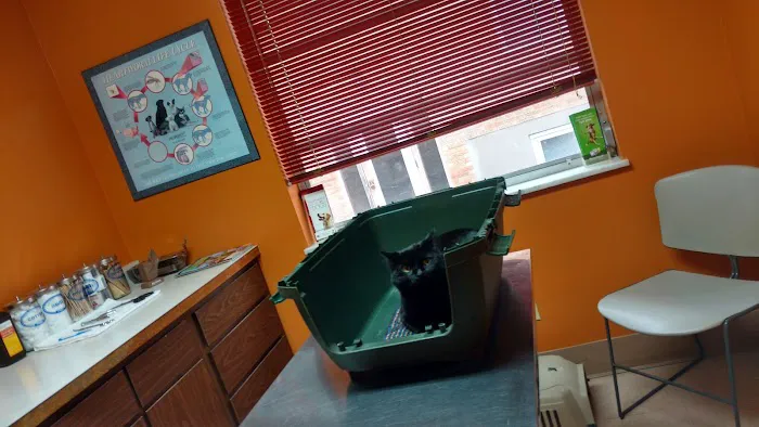 Oak Hills Animal Hospital Picture 3