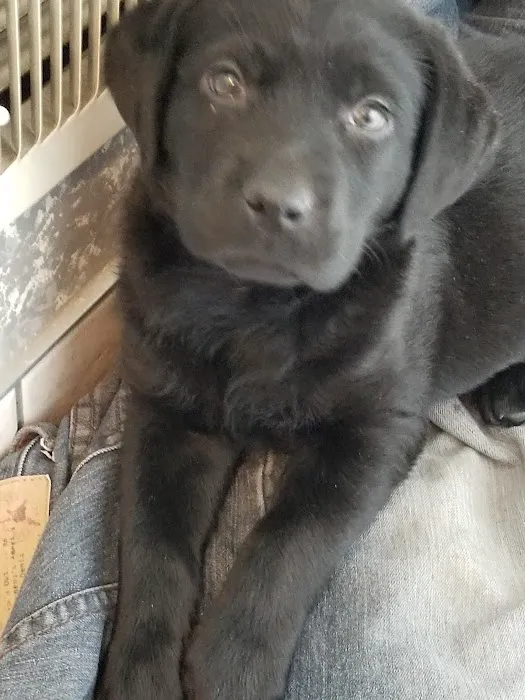 Oak Hills Animal Hospital Picture 6