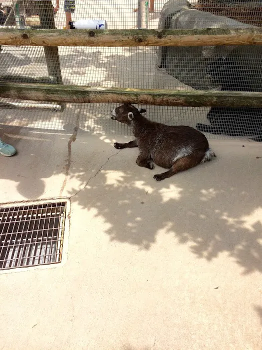 Banfield Pet Hospital Picture 6