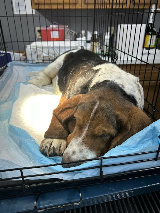 Minter & Moore Veterinary Clinic Picture 1