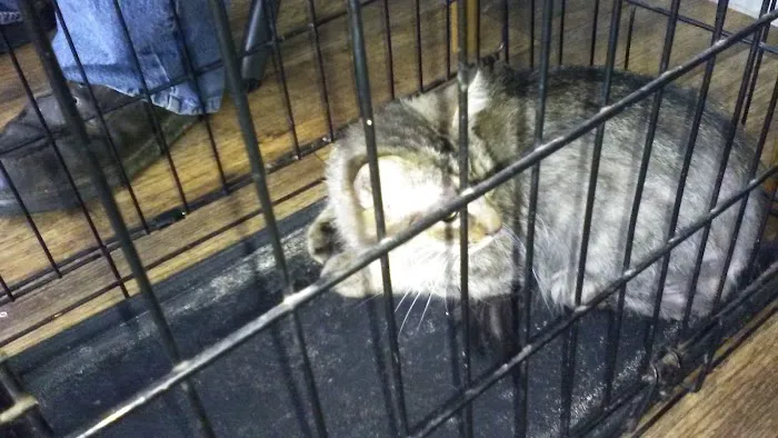 Minter & Moore Veterinary Clinic Picture 7