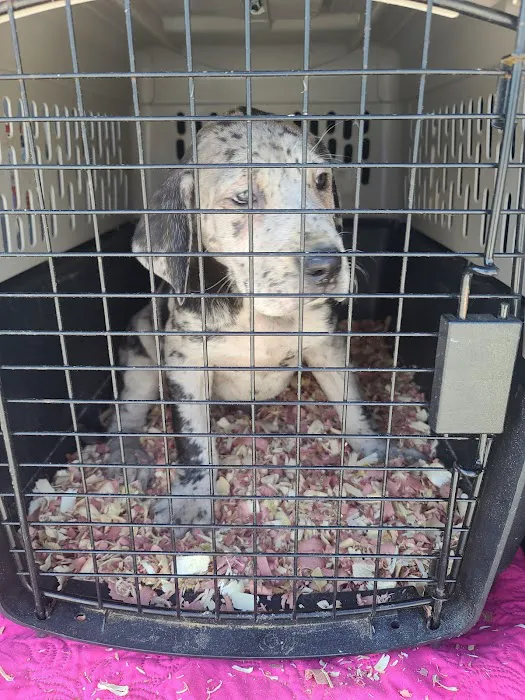 Minter & Moore Veterinary Clinic Picture 10