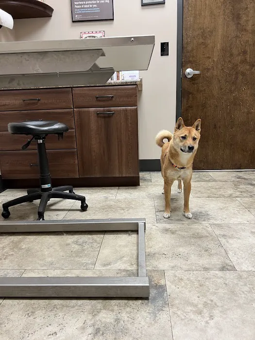 Richmond Veterinary Clinic Picture 7