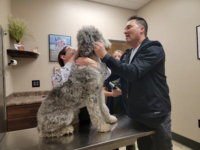 Richmond Veterinary Clinic Picture 5