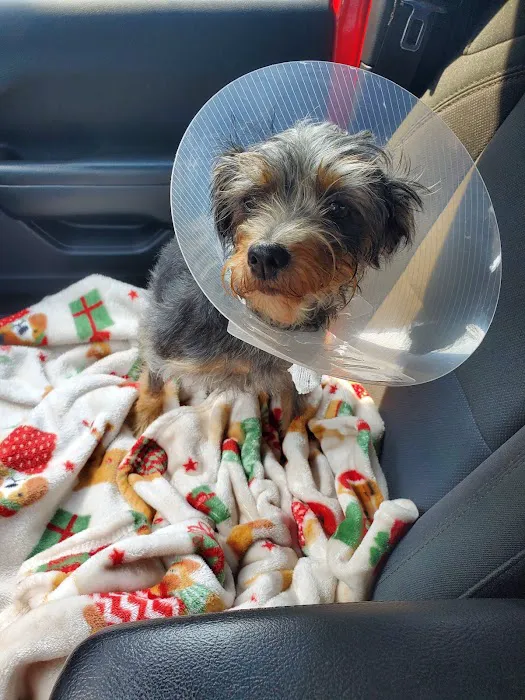 Richmond Veterinary Clinic Picture 6