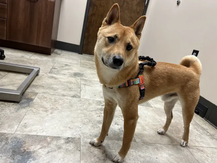 Richmond Veterinary Clinic Picture 3