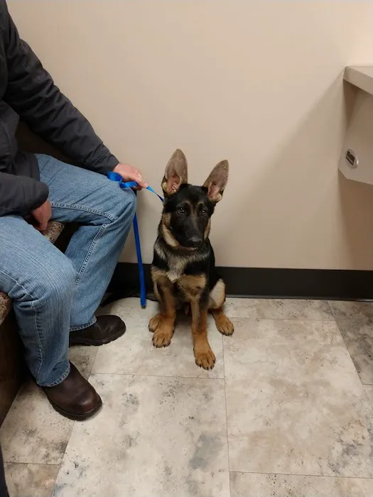 Richmond Veterinary Clinic Picture 1