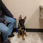 Richmond Veterinary Clinic
