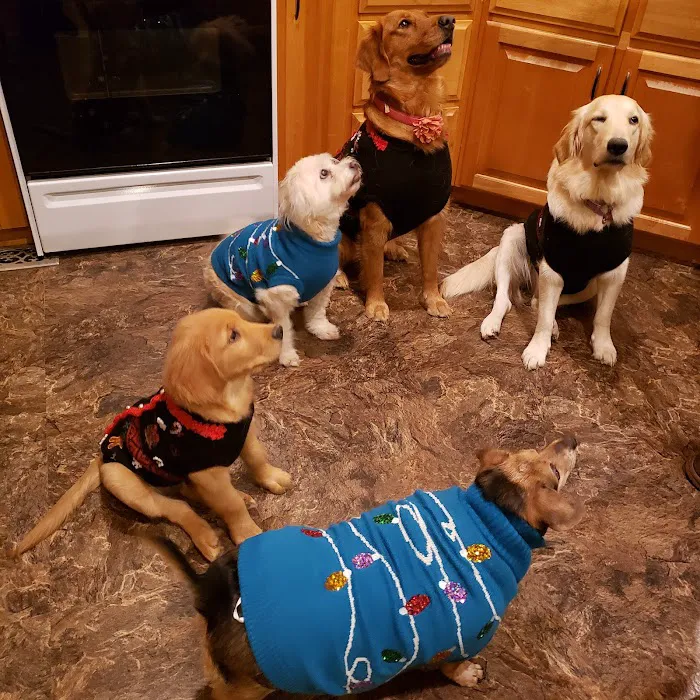 Silver Creek Animal Hospital PLLC Picture 10