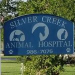 Silver Creek Animal Hospital PLLC