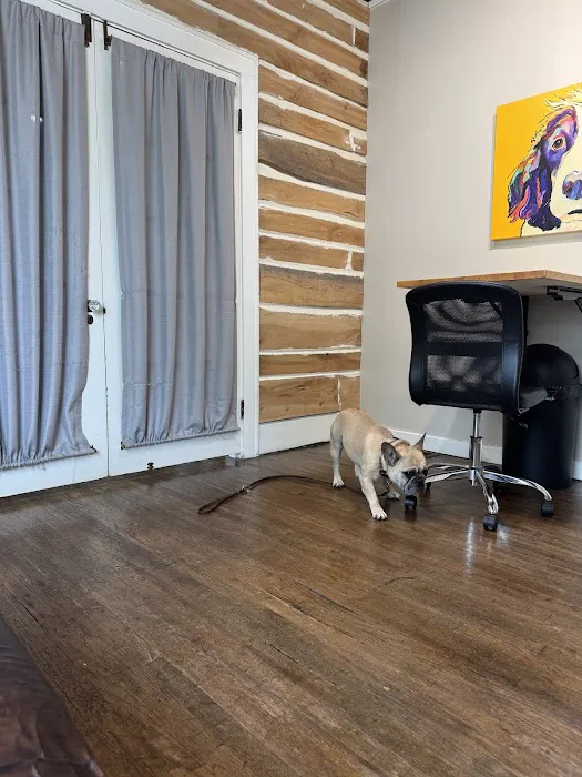 Lewis Veterinary Practice Picture 6