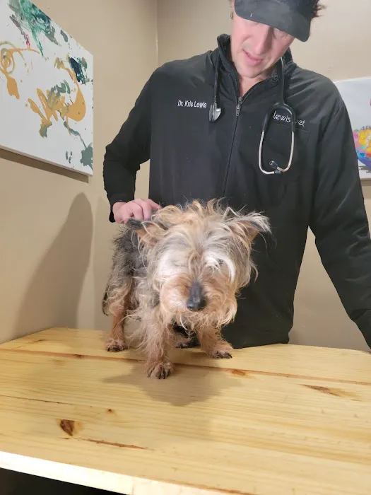 Lewis Veterinary Practice Picture 2
