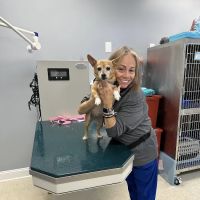 Advanced Animal Care General ico
