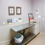 Advanced Animal Care Emergency