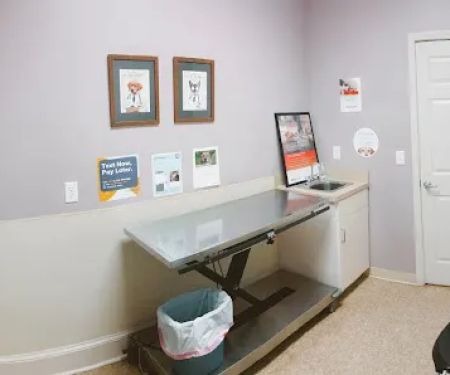 Advanced Animal Care Emergency