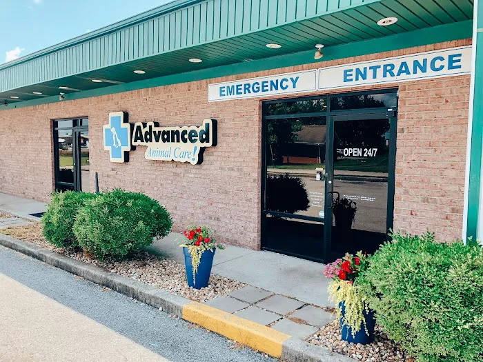 Advanced Animal Care Emergency Picture 8