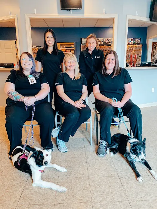 Advanced Animal Care Emergency Picture 5
