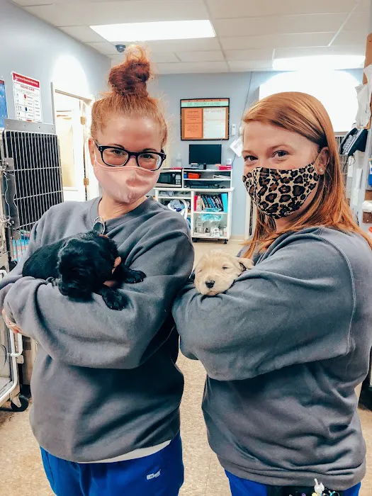 Advanced Animal Care Emergency Picture 6