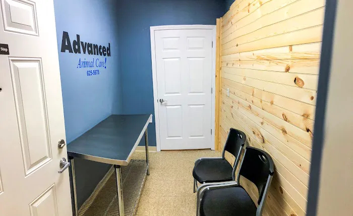 Advanced Animal Care Emergency Picture 2
