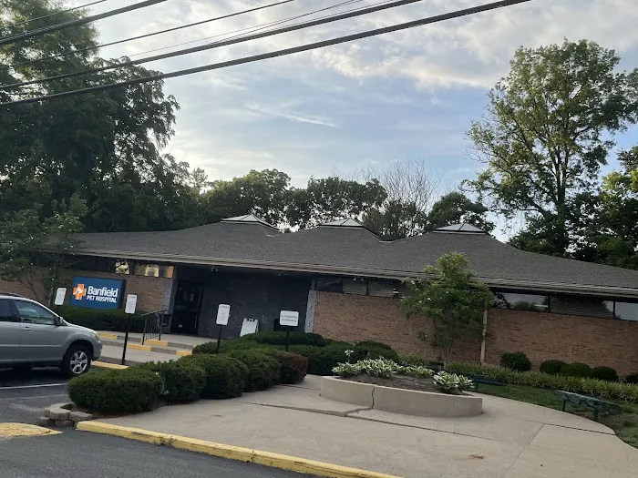 Banfield Pet Hospital Picture 1