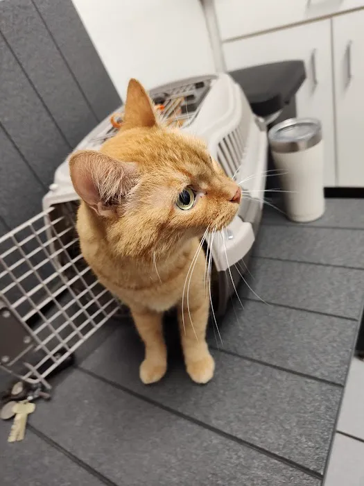 Banfield Pet Hospital Picture 8