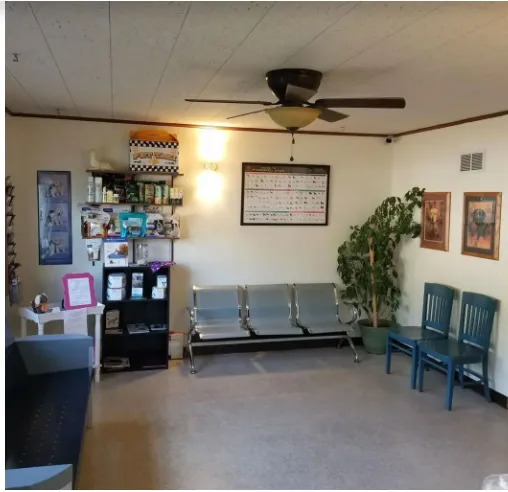 Westside Animal Hospital Picture 10