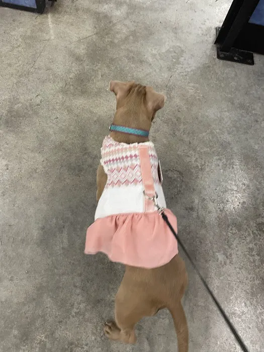 Banfield Pet Hospital Picture 8